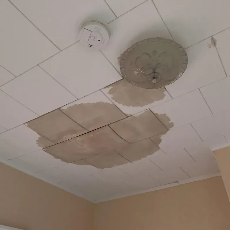 Ceiling Water Damage Repair in Syracuse, NE
