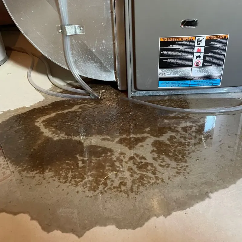 Pipe Burst and Leak Restoration in Syracuse, NE