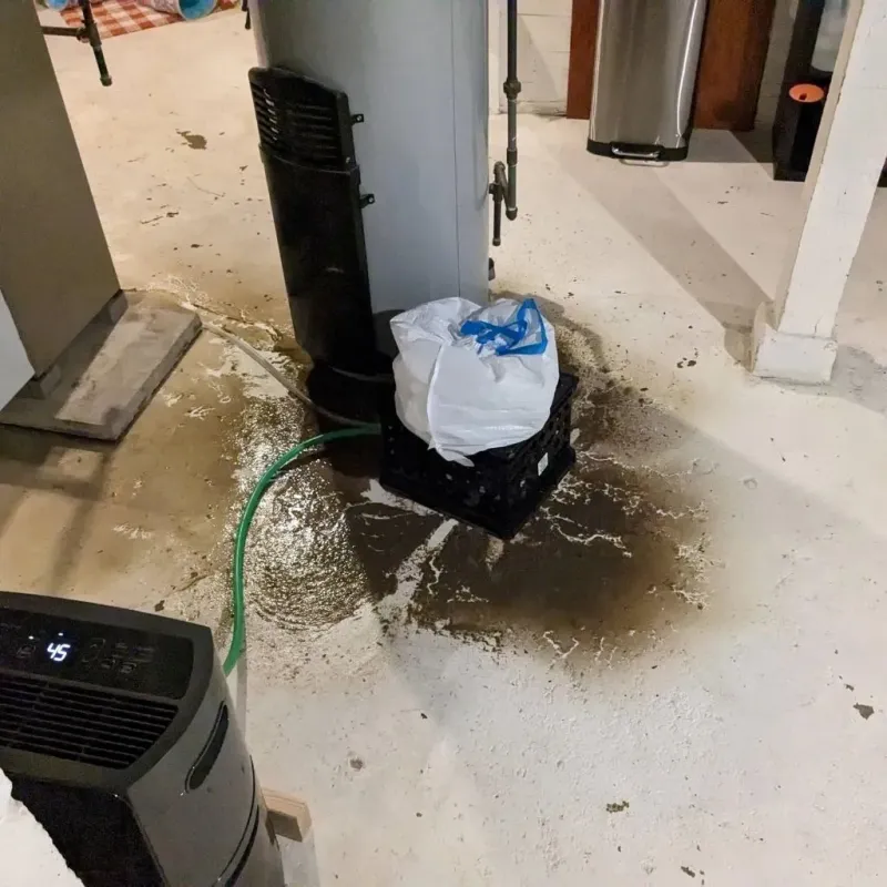 Sewage Backup Cleanup Service in Syracuse, NE